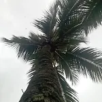 Suite Prainha